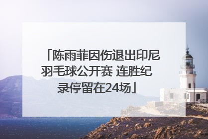 陈雨菲因伤退出印尼羽毛球公开赛 连胜纪录停留在24场