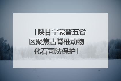 陕甘宁蒙晋五省区聚焦古脊椎动物化石司法保护