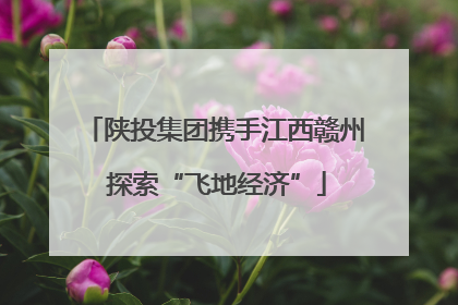 陕投集团携手江西赣州 探索“飞地经济”