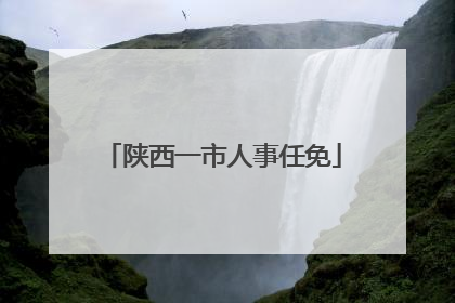 陕西一市人事任免