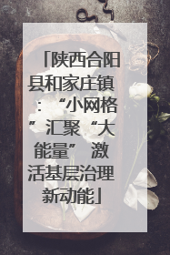 陕西合阳县和家庄镇：“小网格”汇聚“大能量” 激活基层治理新动能