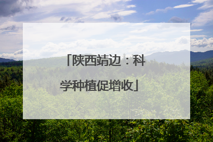 陕西靖边：科学种植促增收