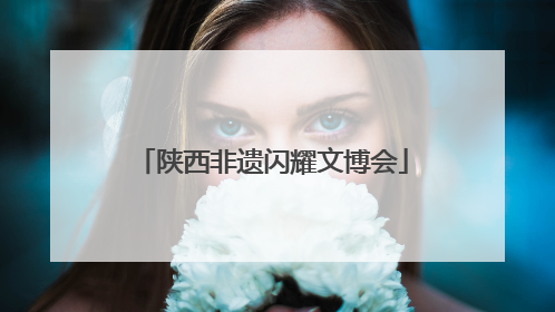 陕西非遗闪耀文博会