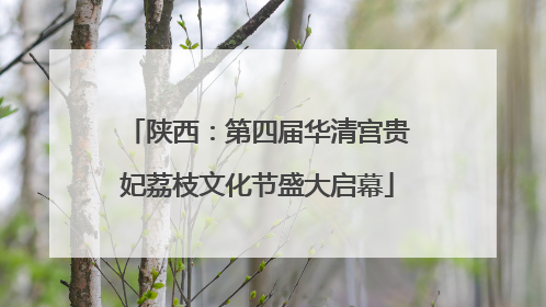 陕西：第四届华清宫贵妃荔枝文化节盛大启幕