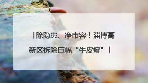 除隐患、净市容！淄博高新区拆除巨幅“牛皮癣”