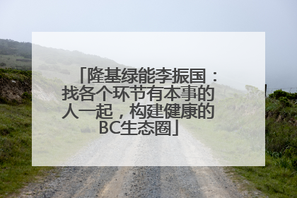 隆基绿能李振国：找各个环节有本事的人一起，构建健康的BC生态圈