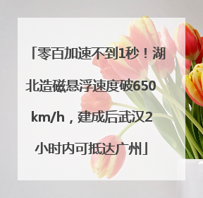 零百加速不到1秒！湖北造磁悬浮速度破650km/h，建成后武汉2小时内可抵达广州
