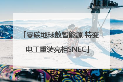 零碳地球数智能源 特变电工重装亮相SNEC