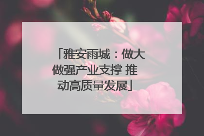雅安雨城：做大做强产业支撑 推动高质量发展