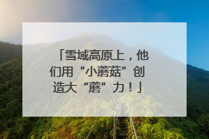 雪域高原上，他们用“小蘑菇”创造大“蘑”力！