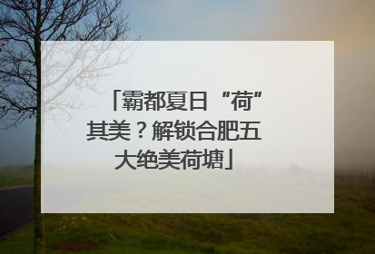 霸都夏日“荷”其美？解锁合肥五大绝美荷塘