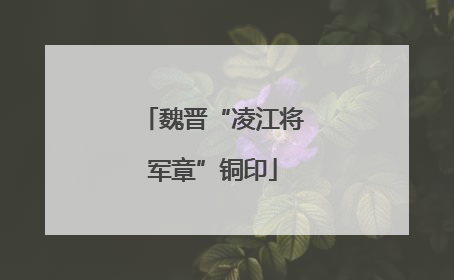 魏晋“凌江将军章”铜印