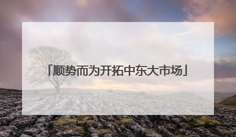 顺势而为开拓中东大市场