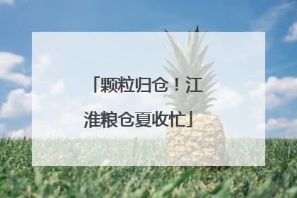颗粒归仓！江淮粮仓夏收忙