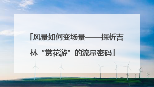风景如何变场景——探析吉林“赏花游”的流量密码