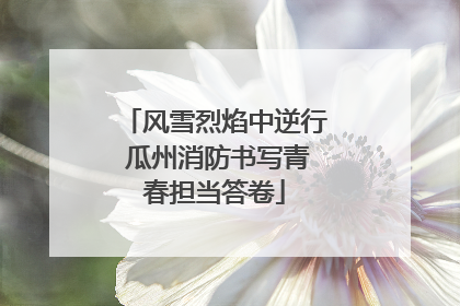 风雪烈焰中逆行 瓜州消防书写青春担当答卷