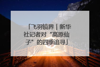 飞羽镜界｜新华社记者对“高原仙子”的四季追寻