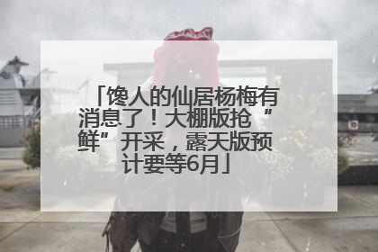 馋人的仙居杨梅有消息了！大棚版抢“鲜”开采，露天版预计要等6月