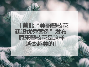 首批“美丽攀枝花建设优秀案例”发布 原来攀枝花是这样越变越美的