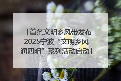 首条文明乡风带发布 2025宁波“文明乡风润四明”系列活动启动
