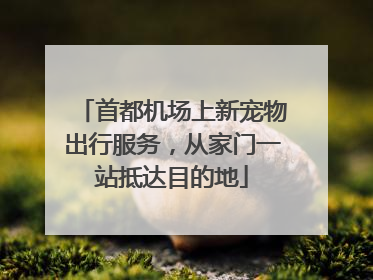 首都机场上新宠物出行服务，从家门一站抵达目的地