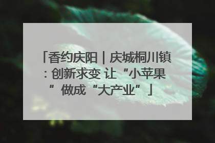 香约庆阳｜庆城桐川镇：创新求变 让“小苹果”做成“大产业”