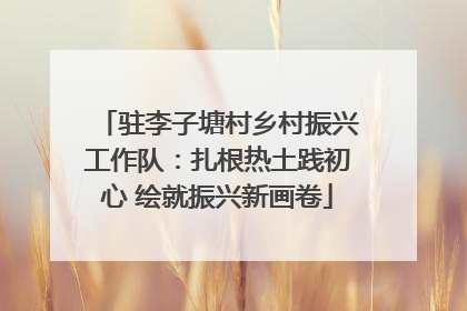 驻李子塘村乡村振兴工作队：扎根热土践初心 绘就振兴新画卷