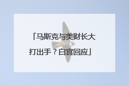 马斯克与美财长大打出手？白宫回应