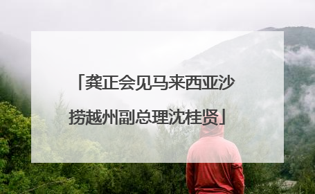 龚正会见马来西亚沙捞越州副总理沈桂贤