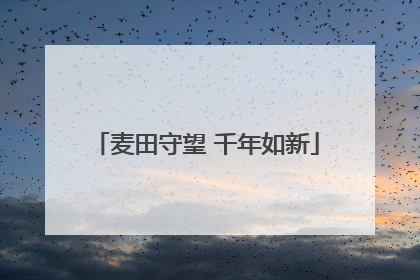 麦田守望 千年如新