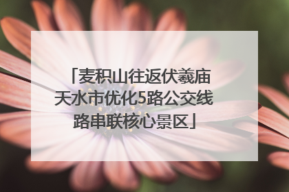 麦积山往返伏羲庙 天水市优化5路公交线路串联核心景区