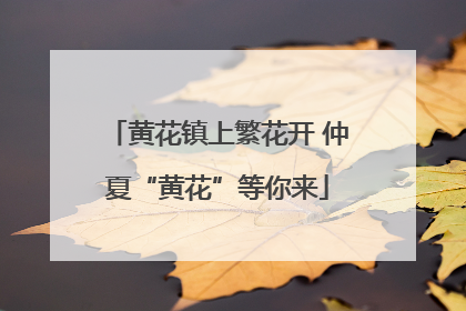黄花镇上繁花开 仲夏“黄花”等你来