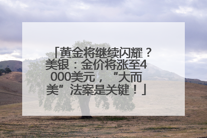 黄金将继续闪耀？美银：金价将涨至4000美元，“大而美”法案是关键！