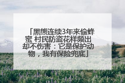 黑熊连续3年来偷蜂蜜 村民防盗花样频出却不伤害：它是保护动物，我有保险兜底
