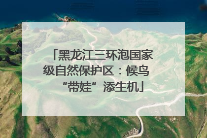 黑龙江三环泡国家级自然保护区：候鸟“带娃”添生机