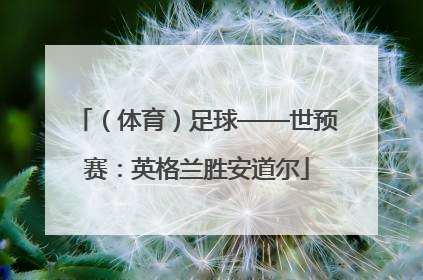 （体育）足球——世预赛：英格兰胜安道尔