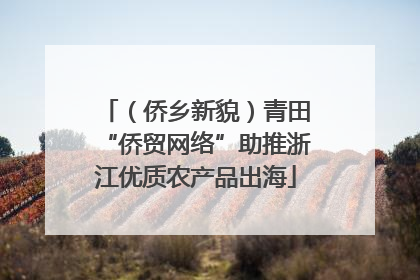 （侨乡新貌）青田“侨贸网络”助推浙江优质农产品出海