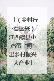 （乡村行·看振兴）江西赣县小鸡蛋“孵”出乡村振兴大产业