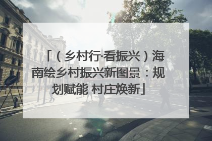 （乡村行·看振兴）海南绘乡村振兴新图景：规划赋能 村庄焕新