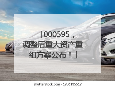 000595，调整后重大资产重组方案公布！