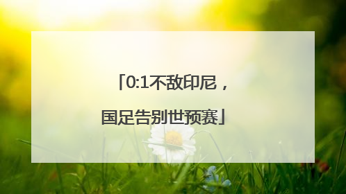 0:1不敌印尼，国足告别世预赛