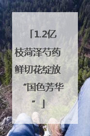 1.2亿枝菏泽芍药鲜切花绽放“国色芳华”