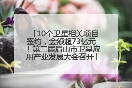 10个卫星相关项目签约，金额超73亿元！第三届眉山市卫星应用产业发展大会召开