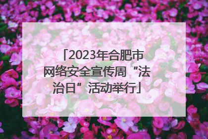 2023年合肥市网络安全宣传周“法治日”活动举行