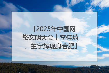 2025年中国网络文明大会丨李佳琦、董宇辉现身合肥