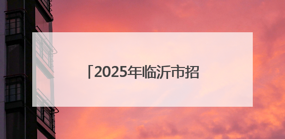 2025年临沂市招商引资工作这样干！