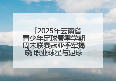 2025年云南省青少年足球春季学期周末联赛冠亚季军揭晓 职业球星与足球小将共享荣耀时刻