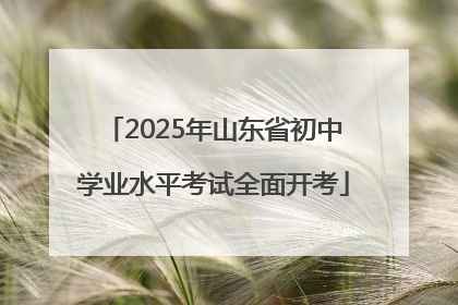 2025年山东省初中学业水平考试全面开考