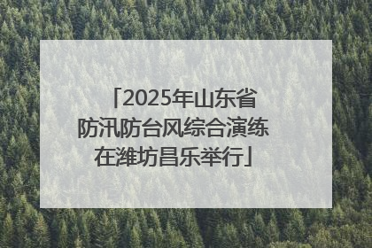 2025年山东省防汛防台风综合演练在潍坊昌乐举行