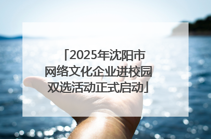 2025年沈阳市网络文化企业进校园双选活动正式启动